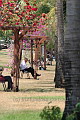 Lunching with a book in Darwin