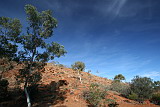 View from the back door at Heavitree Gap