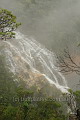 Wentworth Falls in the midst of mist