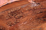 Nests in Roma Gorge