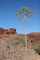 On the way into Palm Valley