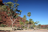 Palm Valley