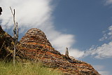 Beehive dome and a termite mound