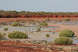 Roebuck Bay, Broome Bird Observatory